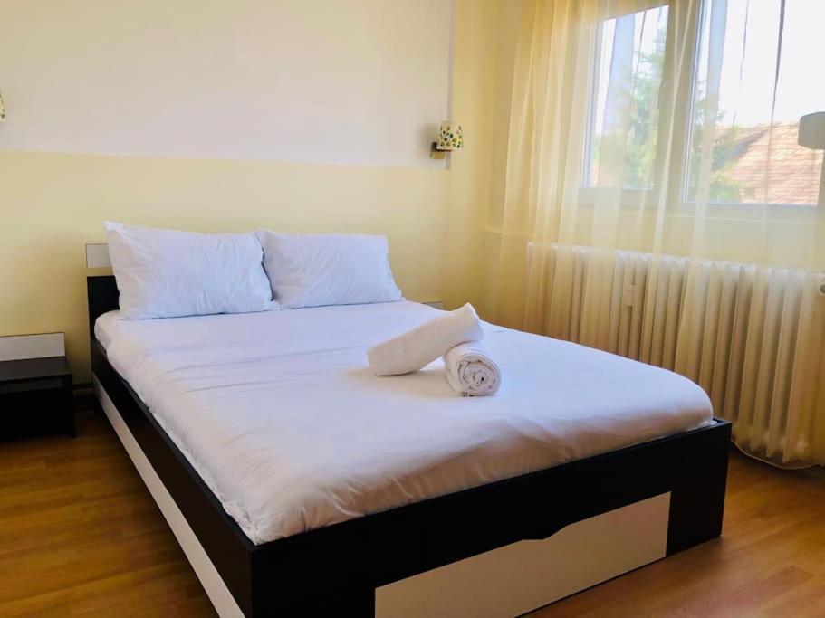 Joy City Stay Lucaciu 16 Timisoara Esterno foto